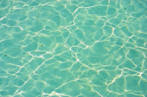 joe Sterne photography, water, nature, annapolis, quiet waters park