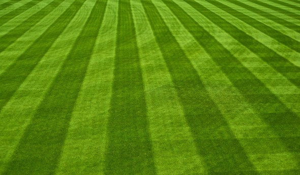 camden yards, baltimore orioles, joe sterne photography, the photowalk alliance