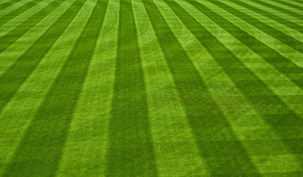 camden yards, baltimore orioles, joe sterne photography, the photowalk alliance