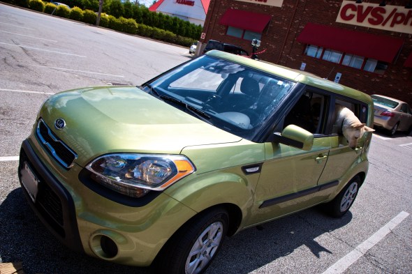 joe Sterne photography, c2c12, roadtrip, kia soul