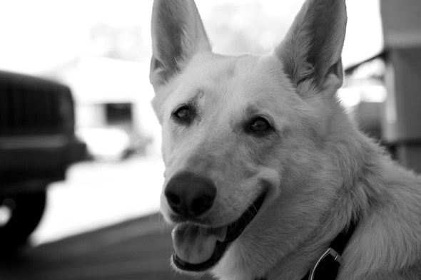 Joe Sterne Photography, c2c12, roadtrip