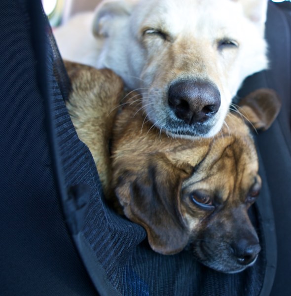 Joe Sterne Photography, c2c12, roadtrip