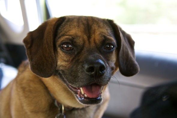 Joe Sterne photography, c2c12, utah, roadtrip