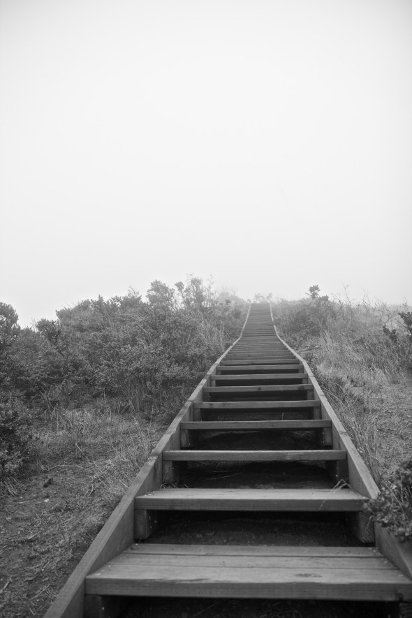 Joe Sterne Photography, hawk hill, san francisco, california, battery 129, abandoned military base