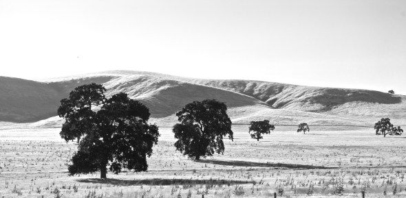 Joe Sterne Photography, California, roadtrip, c2c12, black and white