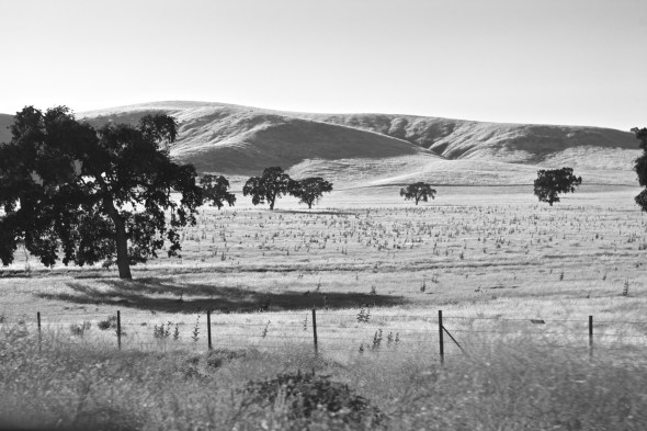 Joe Sterne Photography, California, roadtrip, c2c12, black and white