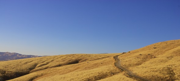 Joe Sterne Photography, California, roadtrip, c2c12, black and white