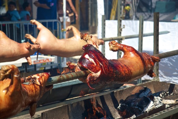 joe sterne photography, redwood city, BBQ, west coast, bay area