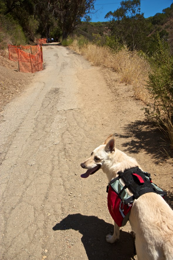 Openspace, Joe Sterne Photography, Outdoors, California