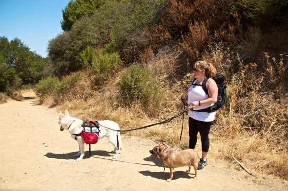 Openspace, Joe Sterne Photography, Outdoors, California
