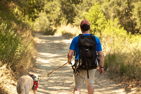 Openspace, Joe Sterne Photography, Outdoors, California