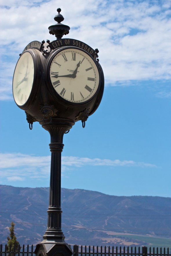 Soledad, Joe Sterne Photography, Flowers, Landscape