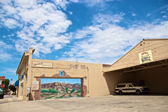 Soledad, Joe Sterne Photography, Flowers, Landscape