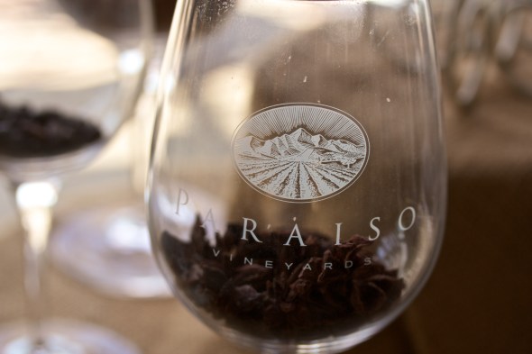 Paraiso Vineyards, River Road, Winery, Joe Sterne Photography, Wine Tasting, Salad bowl