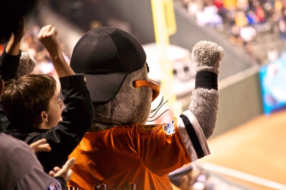 IMG_7212 Joe Sterne Photography, California, Northern California, San Francisco, SF giants