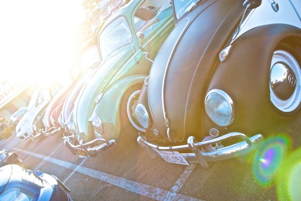 IMG_7287 Joe Sterne Photography, California, Northern California, Santa Cruz