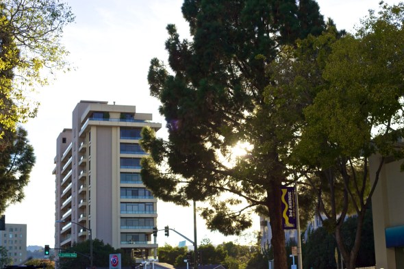 Joe Sterne Photography, Bay Area, San Mateo, California,