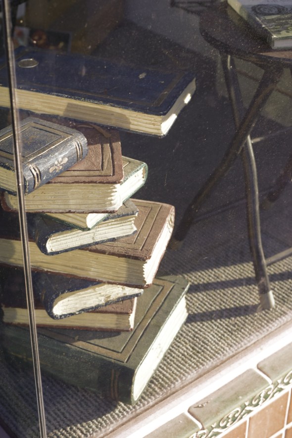 Joe Sterne Photography, Bay Area, San Mateo, California,