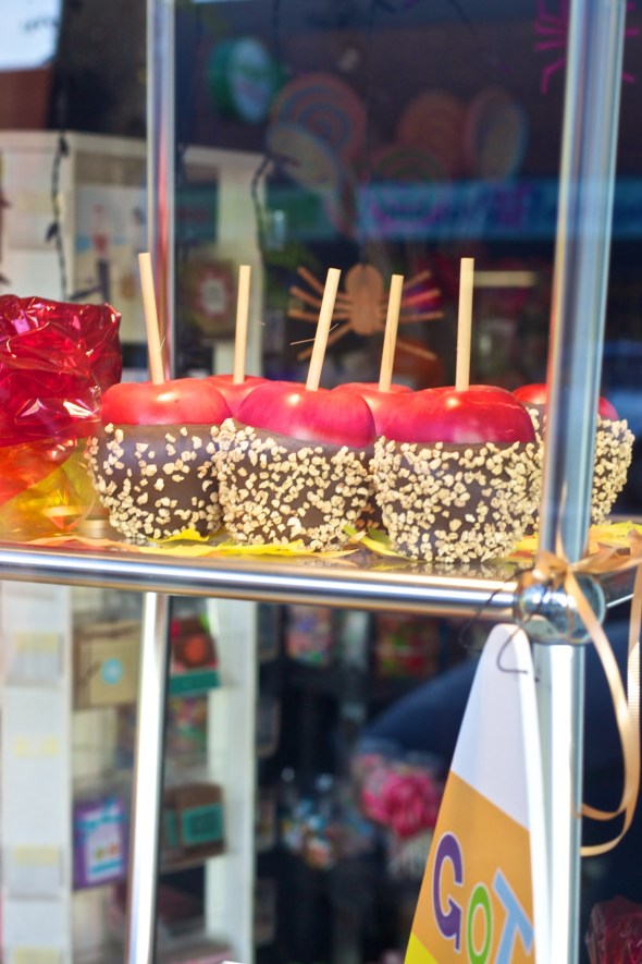 Joe Sterne Photography, Bay Area, San Mateo, California, kaffeehaus