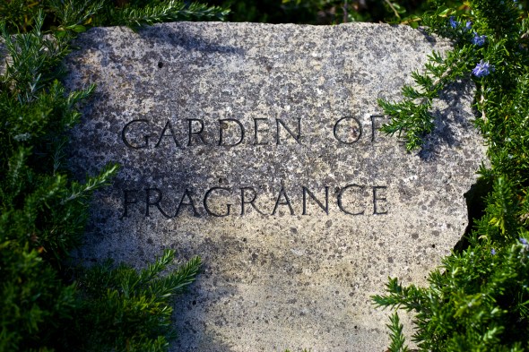 Joe Sterne Photography, San Francisco Botanical Garden, Google SF Photowalk, the Photowalk Alliance,