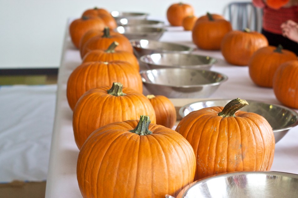 joe sterne photography, google san francisco, office, san francisco, pumpkin carving, pumpkins, Google+