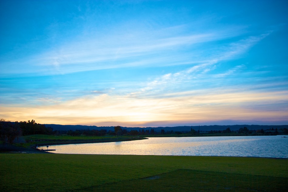 joe sterne photography, shoreline park, bay area, birding, bird watching,