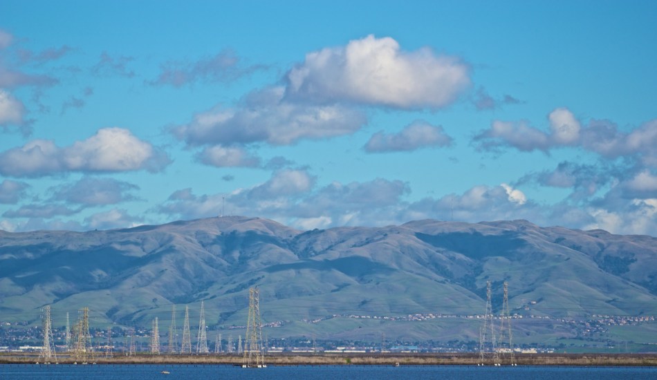 joe sterne photography, shoreline park, bay area, birding, bird watching,
