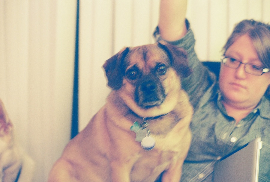 canon, joe sterne photography, ae-1 program, 35mm, #projectfilm, retro, film photography