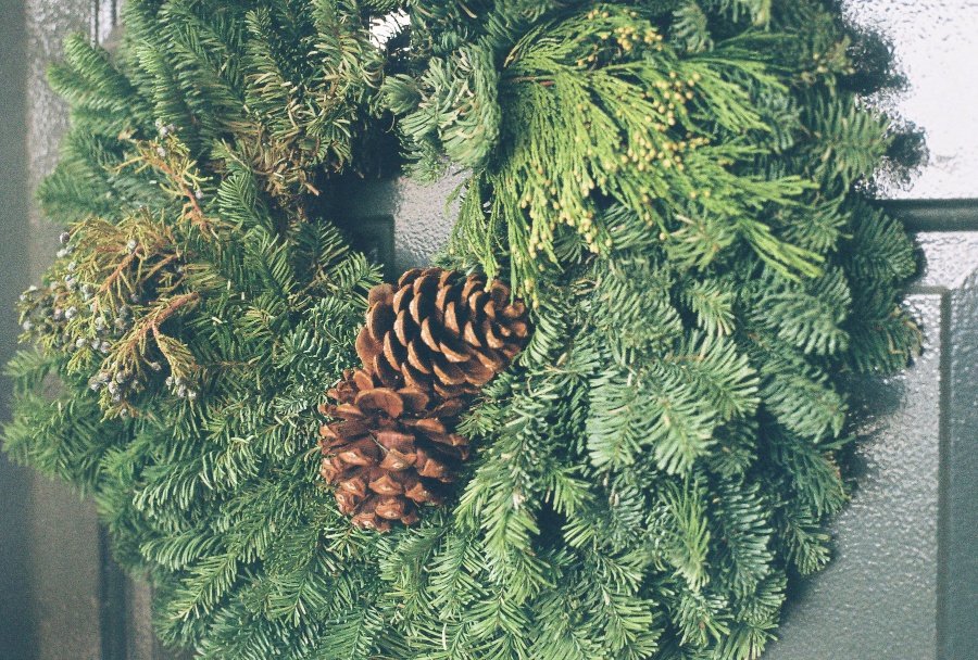 canon, joe sterne photography, ae-1 program, 35mm, #projectfilm, retro, film photography