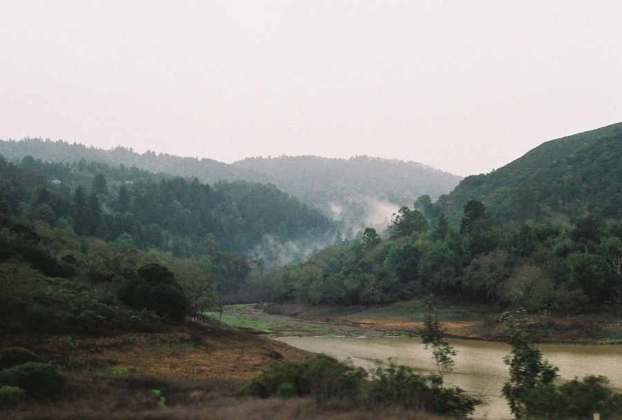 canon, joe sterne photography, ae-1 program, 35mm, #projectfilm, retro, film photography