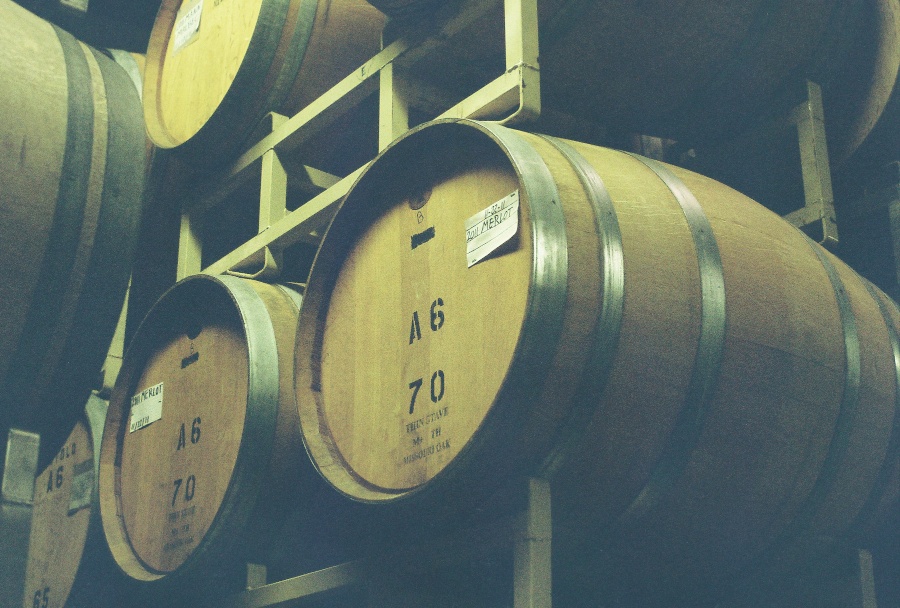 canon, joe sterne photography, ae-1 program, 35mm, #projectfilm, retro, film photography