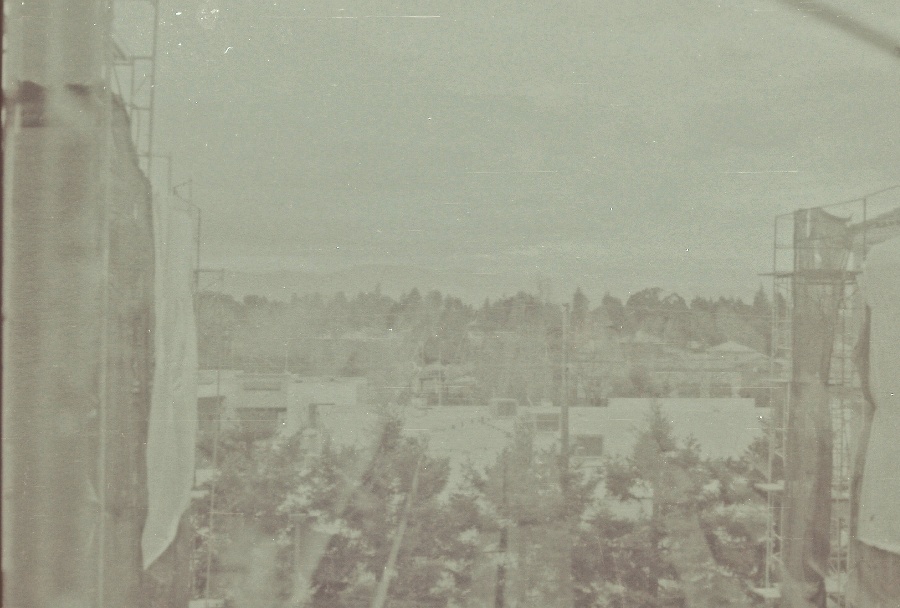 joe sterne photography, black and white film, color negative, lomography