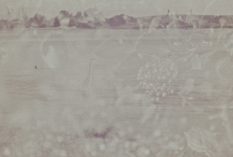 joe sterne photography, black and white film, color negative, lomography