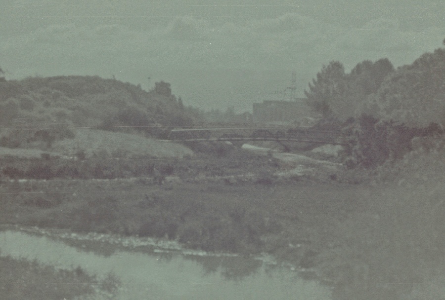 joe sterne photography, black and white film, color negative, lomography