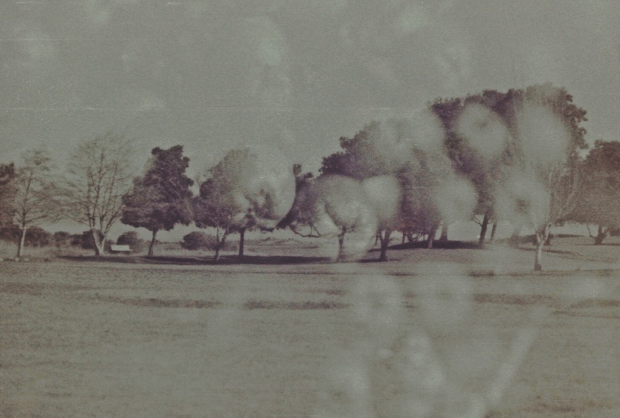 joe sterne photography, black and white film, color negative, lomography