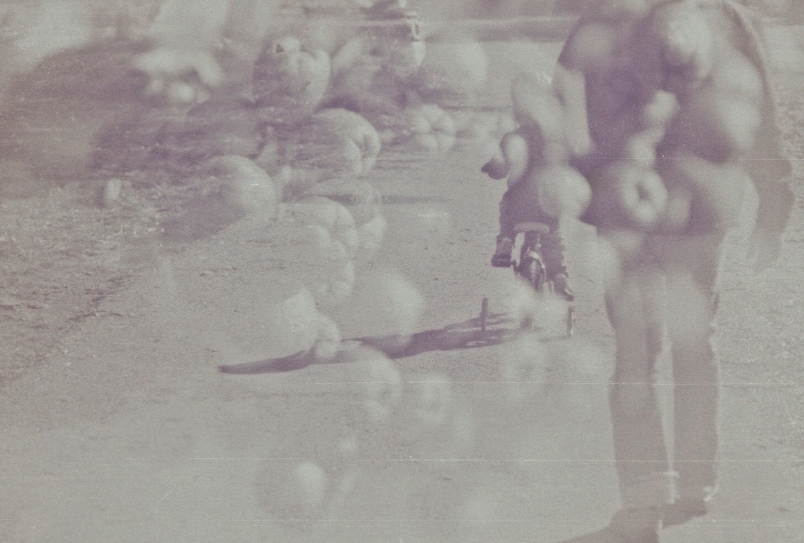 joe sterne photography, black and white film, color negative, lomography