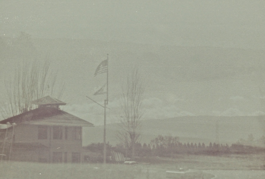 joe sterne photography, black and white film, color negative, lomography