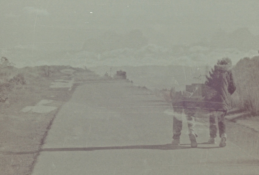 joe sterne photography, black and white film, color negative, lomography