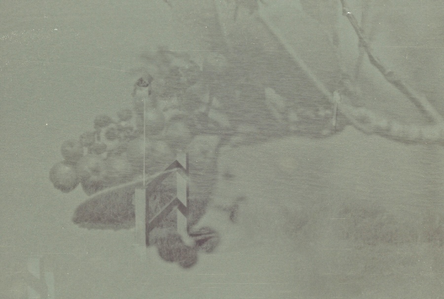 joe sterne photography, black and white film, color negative, lomography