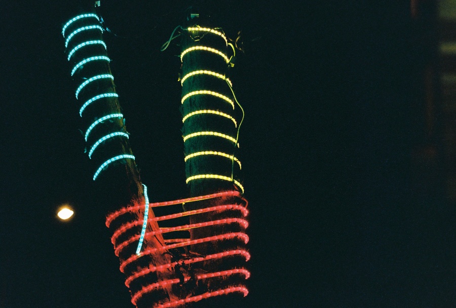 canon, joe sterne photography, ae-1 program, 35mm, #projectfilm, retro, film photography