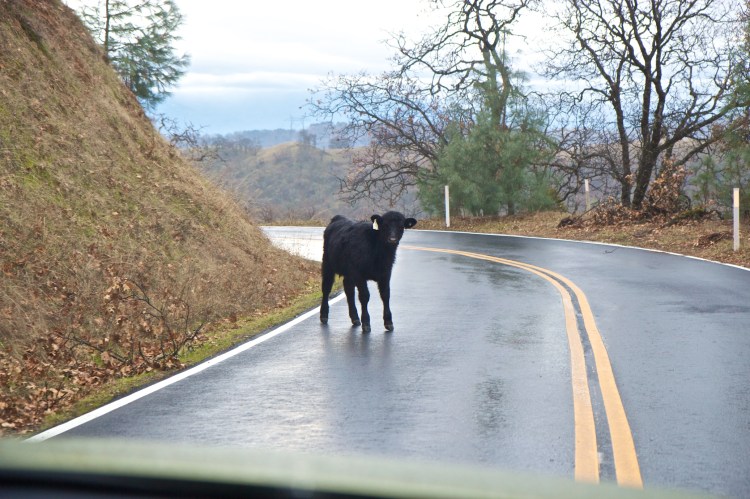 Joe Sterne Photography, bay area, lick observatory, astronomy, california,