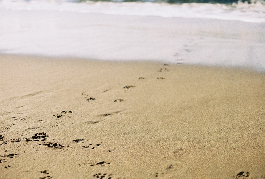 #projectfilm, baker beach, san francisco, bay bridge, joe sterne photography