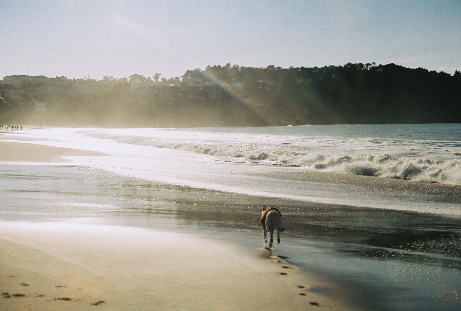 #projectfilm, baker beach, san francisco, bay bridge, joe sterne photography