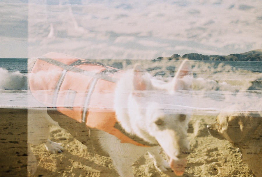 #projectfilm, baker beach, san francisco, bay bridge, joe sterne photography