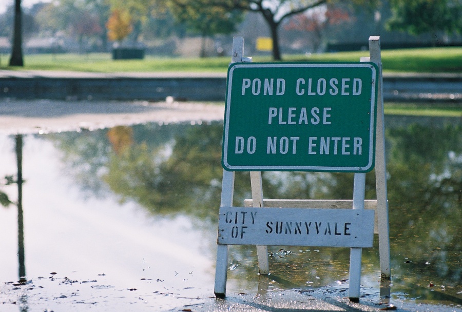 #projectfilm, macro, joe sterne photography, sunnyvale park, bay area