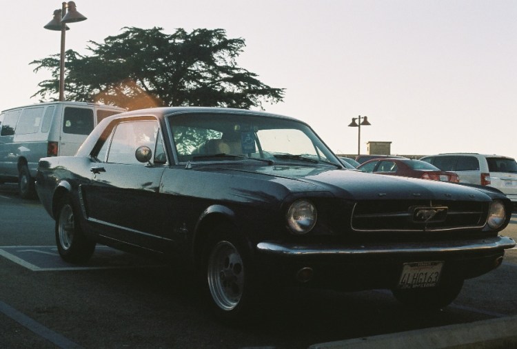 #projectfilm, lomography iso 400, film, 35mm film, Joe Sterne Photography, lomo