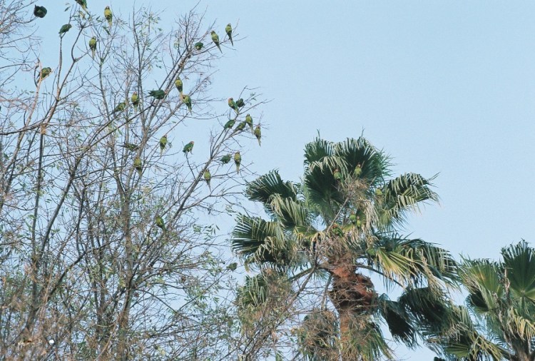 #projectfilm, lomography iso 400, film, 35mm film, Joe Sterne Photography, lomo