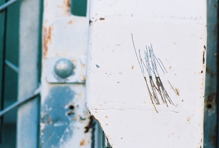 #projectfilm, lomography iso 400, film, 35mm film, Joe Sterne Photography, lomo