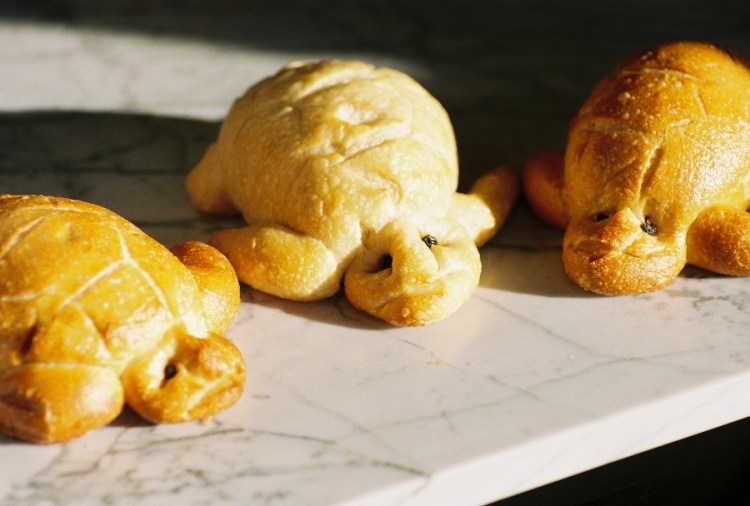 #projectfilm, lomography iso 400, film, 35mm film, Joe Sterne Photography, lomo