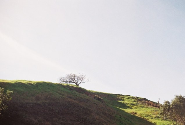 Joe Sterne Photography, Kodak iso100, 35mm film, Flickr Meetup, canon ae-1